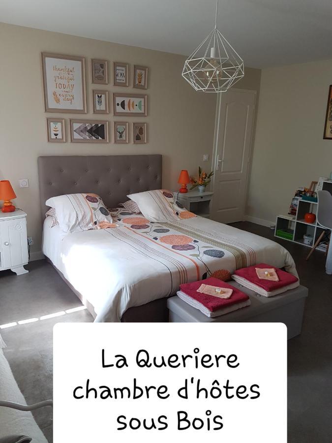 Chambres D'Hotes La Queriere Mur-de-Sologne Экстерьер фото